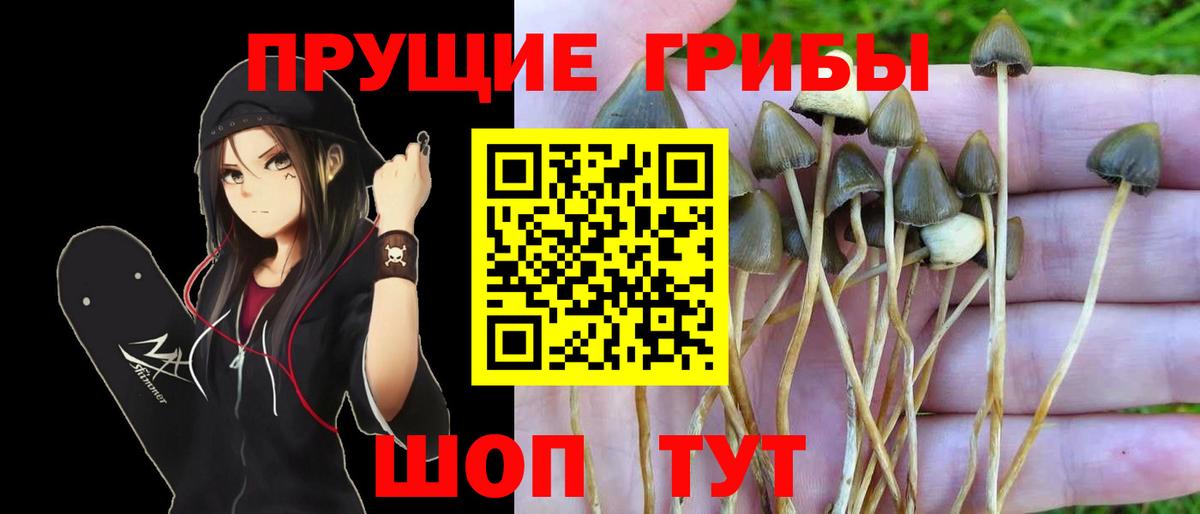 Псилоцибиновые грибы ЛСД  Вход с VPN  Малгобек  Галлюциногенные грибы мицелий 