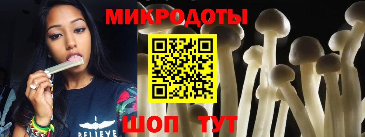 Галлюциногенные грибы Cubensis Малгобек